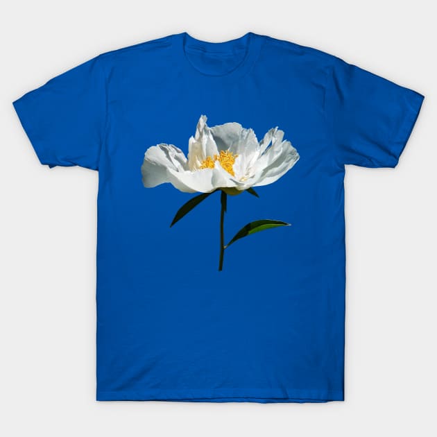 White Poppy Profile T-Shirt by SusanSavad